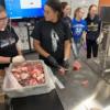Students getting hands on in the meat processing lesson.: Gallery Image 3 