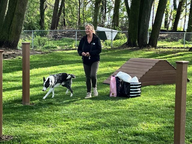 Jackie Jutte with her dog Stryker demonstrating how to use the obstacles at the Celina Rotary Dog Park.: Featured Image 1 